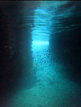 武藤潜水に投稿された画像（2025/12/21）