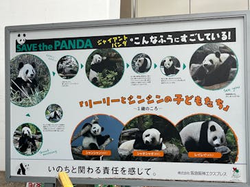 恩賜上野動物園に投稿された画像（2025/12/21）