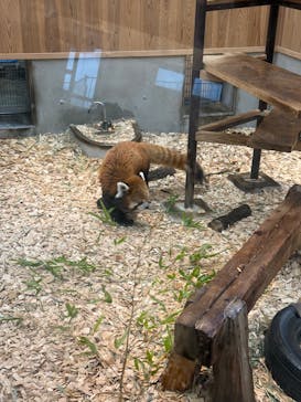 名古屋市東山動植物園に投稿された画像（2025/12/21）