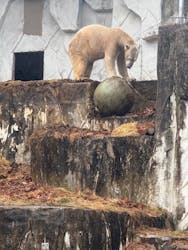 名古屋市東山動植物園に投稿された画像（2025/12/21）