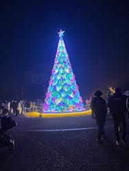 みろくの里に投稿された画像（2025/12/21）