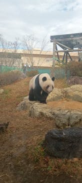 恩賜上野動物園に投稿された画像（2025/12/21）