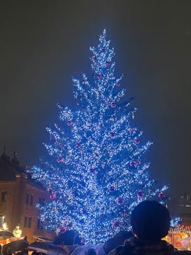 Christmas Market in 横浜赤レンガ倉庫 2025に投稿された画像（2025/12/21）