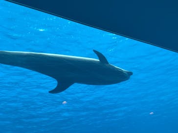 名古屋港水族館に投稿された画像（2025/12/21）