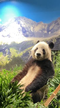 恩賜上野動物園に投稿された画像（2025/12/21）