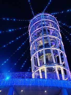 江の島シーキャンドルに投稿された画像（2025/12/21）