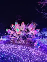 江の島シーキャンドルに投稿された画像（2025/12/21）