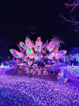 江の島シーキャンドルに投稿された画像（2025/12/21）