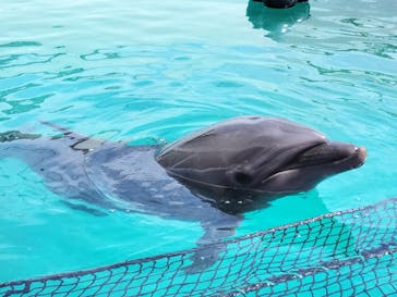 ゼロ距離水族館 伊勢シーパラダイスに投稿された画像（2025/12/21）