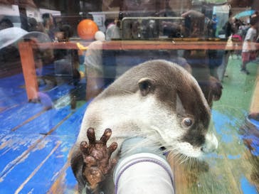 ゼロ距離水族館 伊勢シーパラダイスに投稿された画像（2025/12/21）