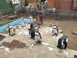 ゼロ距離水族館 伊勢シーパラダイスに投稿された画像（2025/12/21）