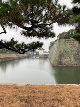 元離宮二条城に投稿された画像（2025/12/21）