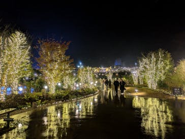 いばらきフラワーパークに投稿された画像（2025/12/21）