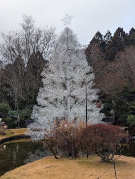 箱根ガラスの森美術館に投稿された画像（2025/12/21）