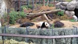 恩賜上野動物園に投稿された画像（2025/12/21）
