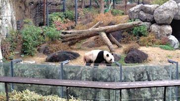 恩賜上野動物園に投稿された画像（2025/12/21）