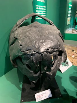 特別展「大絶滅展―生命史のビッグファイブ」に投稿された画像（2025/12/21）