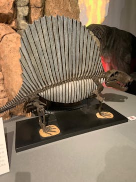 特別展「大絶滅展―生命史のビッグファイブ」に投稿された画像（2025/12/21）