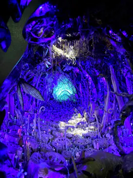 金曜ロードショーとジブリ展（静岡展）に投稿された画像（2025/12/21）