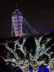 江の島シーキャンドルに投稿された画像（2025/12/21）