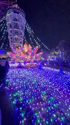 江の島シーキャンドルに投稿された画像（2025/12/21）