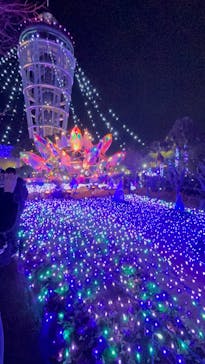 江の島シーキャンドルに投稿された画像（2025/12/21）