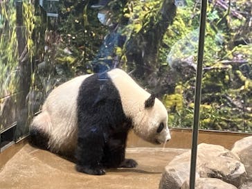 恩賜上野動物園に投稿された画像（2025/12/21）