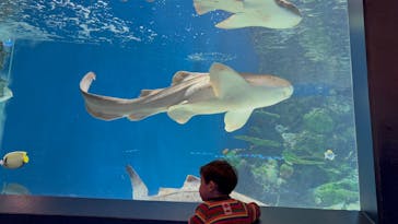 マクセル アクアパーク品川に投稿された画像（2025/12/21）