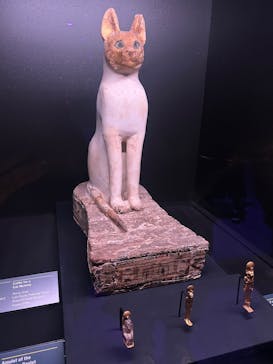 ACN ラムセス大王展 ファラオたちの黄金に投稿された画像（2025/12/21）