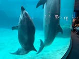 名古屋港水族館に投稿された画像（2025/12/21）