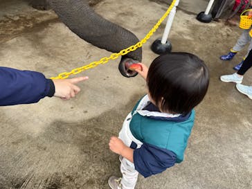 ANIMAL WONDER REZOURT 市原ぞうの国・サユリワールドに投稿された画像（2025/12/21）