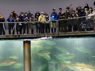 城崎マリンワールドに投稿された画像（2025/12/21）