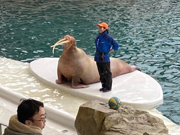 城崎マリンワールドに投稿された画像（2025/12/21）