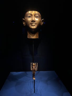 ACN ラムセス大王展 ファラオたちの黄金に投稿された画像（2025/12/21）