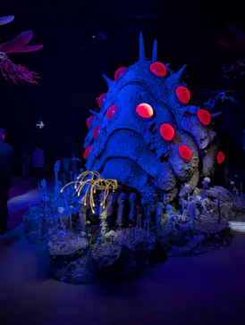 金曜ロードショーとジブリ展（静岡展）に投稿された画像（2025/12/21）