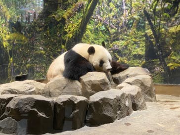 恩賜上野動物園に投稿された画像（2025/12/21）