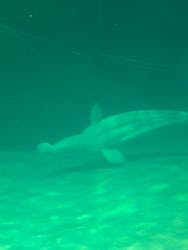 名古屋港水族館に投稿された画像（2025/12/21）