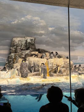 名古屋港水族館に投稿された画像（2025/12/21）