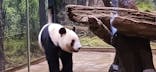恩賜上野動物園に投稿された画像（2025/12/21）