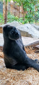 恩賜上野動物園に投稿された画像（2025/12/21）