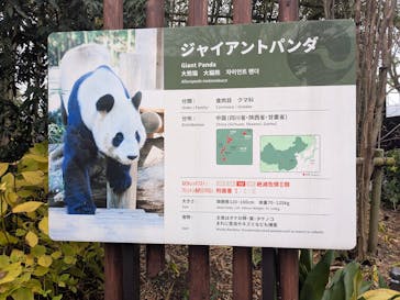 恩賜上野動物園に投稿された画像（2025/12/21）