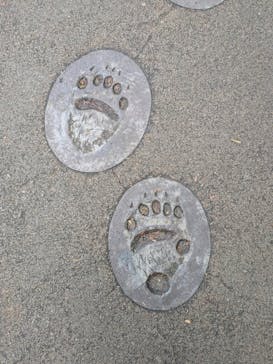 恩賜上野動物園に投稿された画像（2025/12/21）