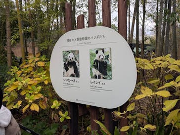 恩賜上野動物園に投稿された画像（2025/12/21）