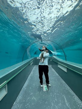 太地町立くじらの博物館に投稿された画像（2025/12/21）