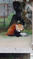 熱川バナナワニ園に投稿された画像（2025/12/21）