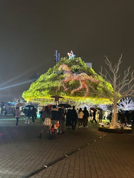 東京メガイルミに投稿された画像（2025/12/21）