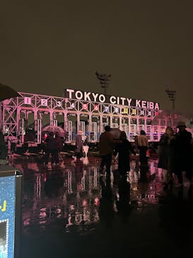 東京メガイルミに投稿された画像（2025/12/21）