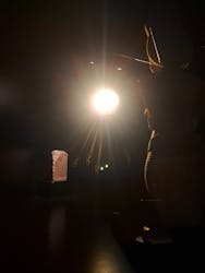 MYSTERY OF TUTANKHAMEN 体感型古代エジプト展に投稿された画像（2025/12/21）