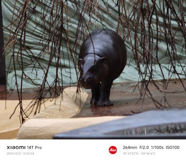 恩賜上野動物園に投稿された画像（2025/12/21）