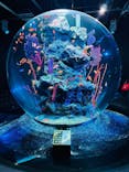 AQUARIUM × ART　atoaに投稿された画像（2025/12/21）